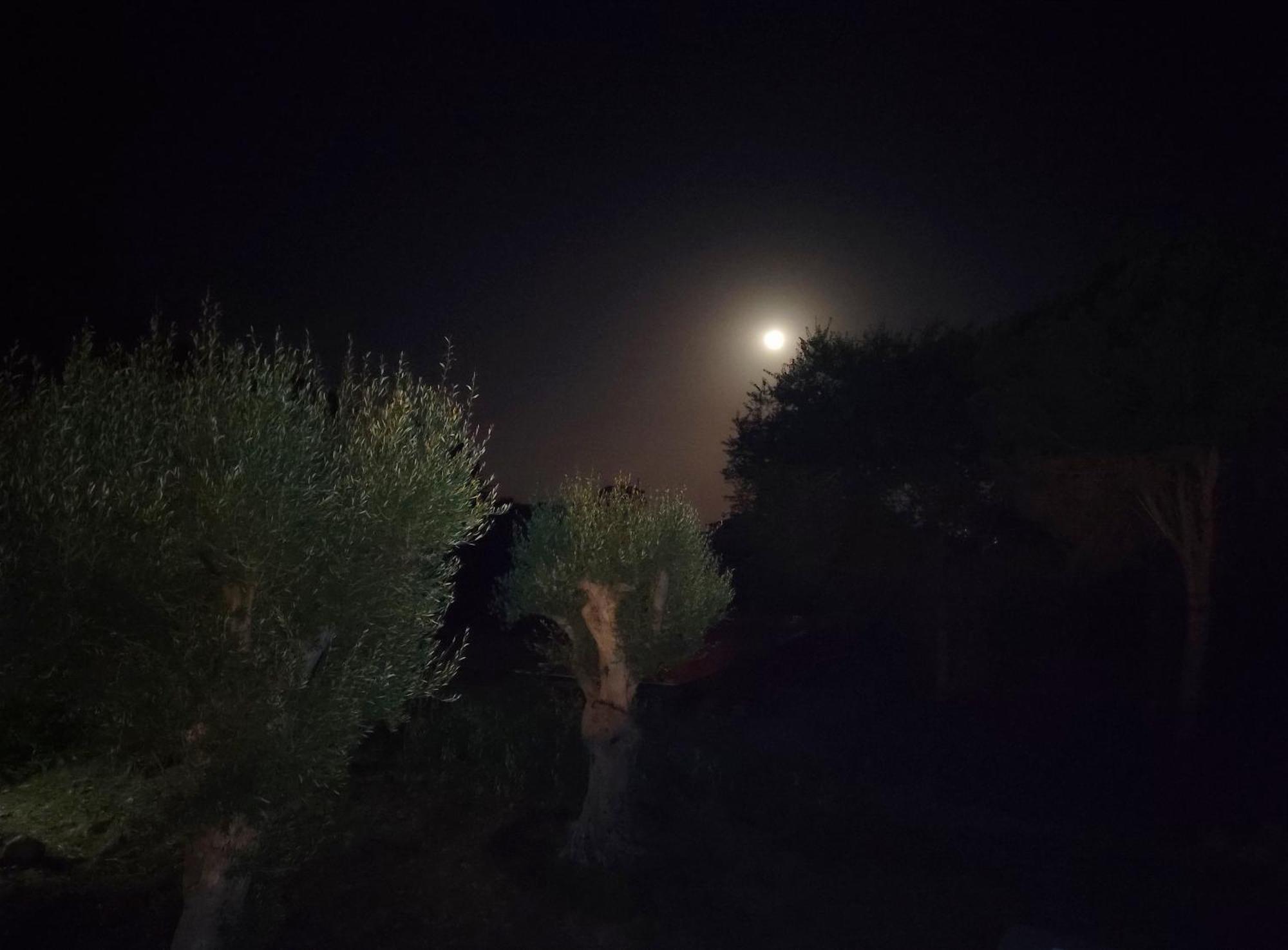 Villa Orizzonte Sullo Jonio Avola Bagian luar foto
