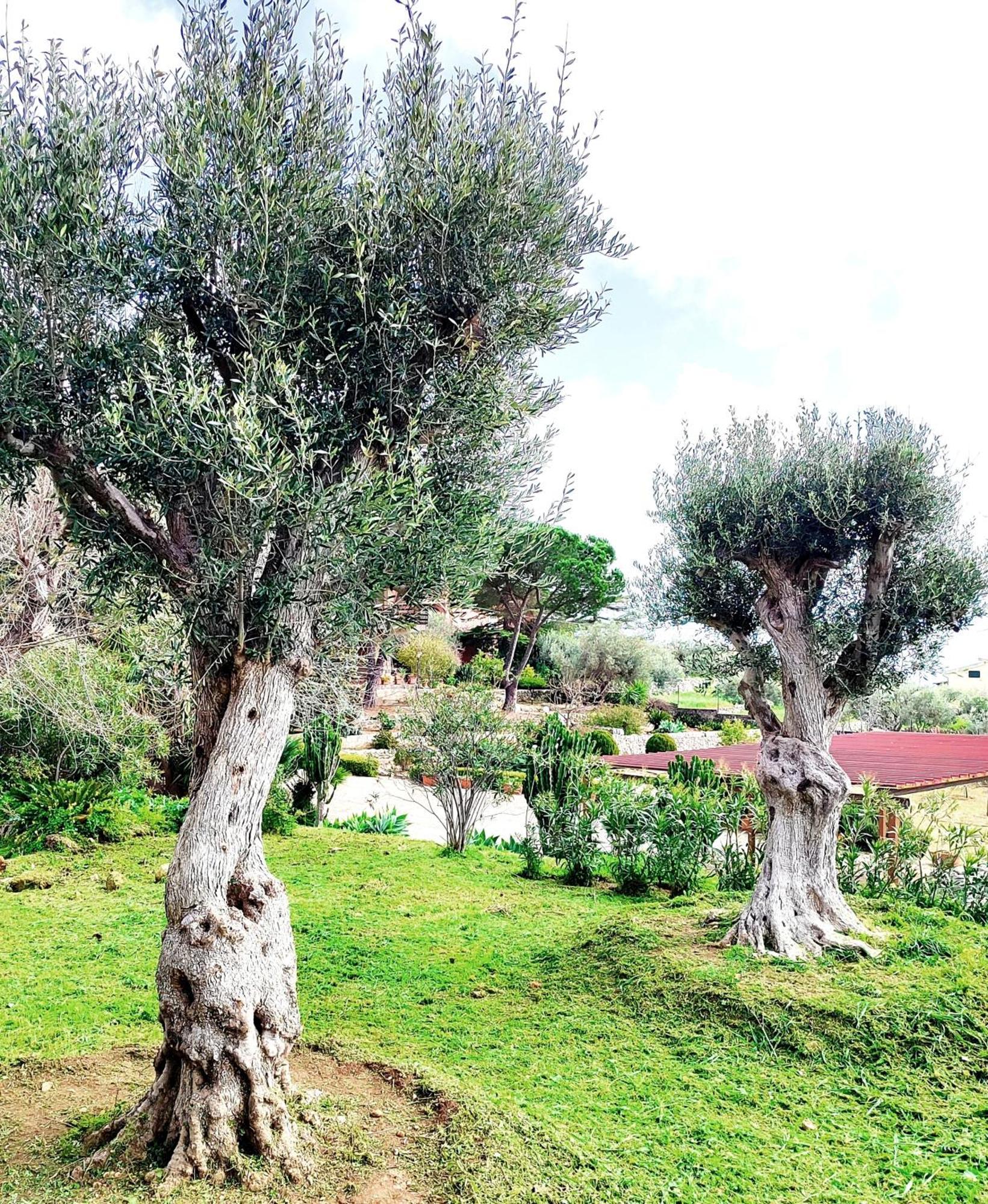 Villa Orizzonte Sullo Jonio Avola Bagian luar foto
